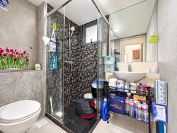 Blk 1E The Pinnacle@Duxton (Bukit Merah), HDB 4 Rooms #614171911